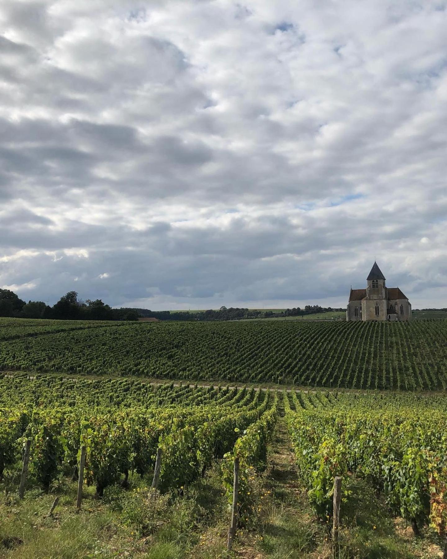 Maison De Pauline, Chablis Vineyard Prehy Phòng bức ảnh