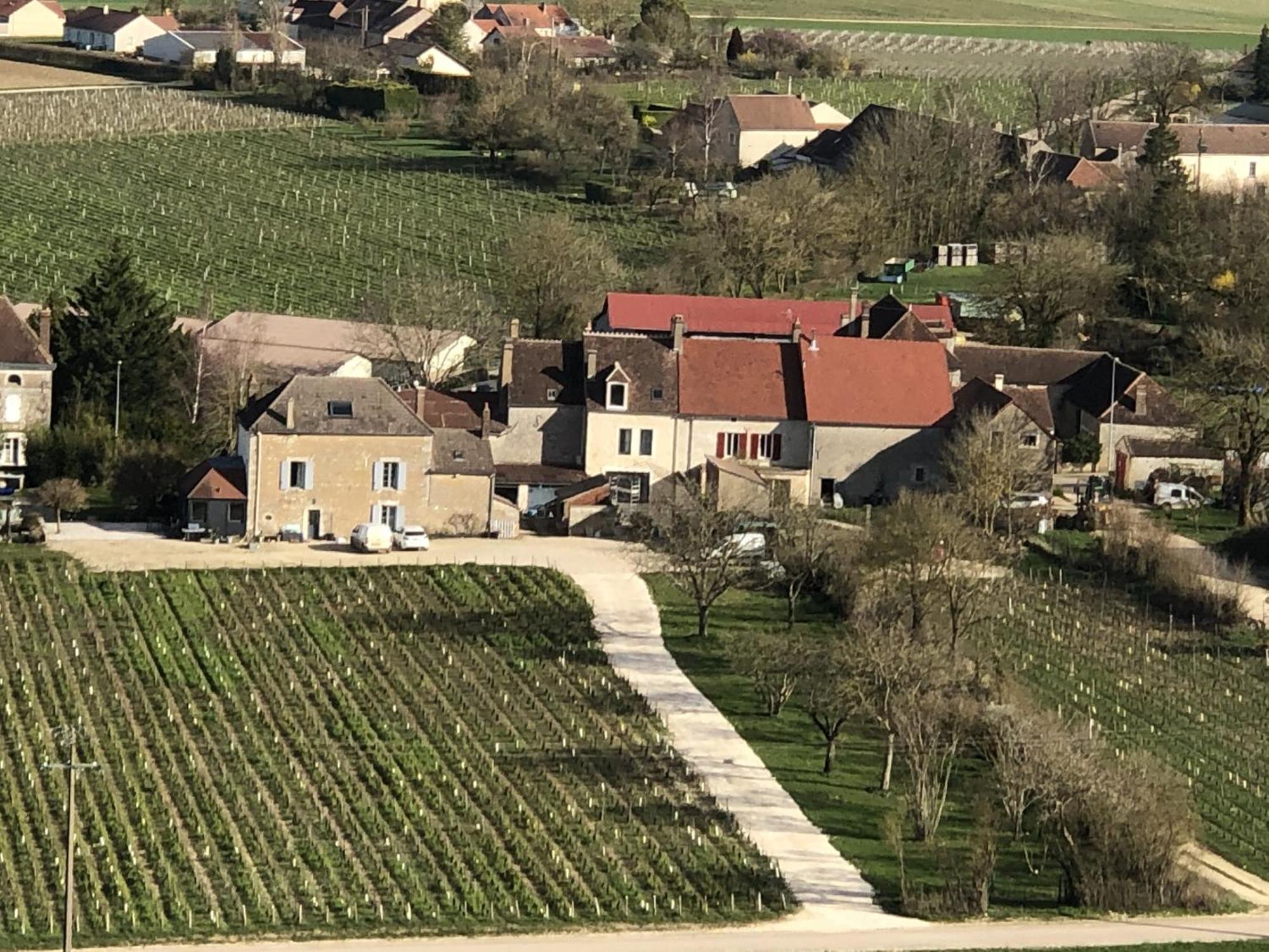 Maison De Pauline, Chablis Vineyard Prehy Ngoại thất bức ảnh